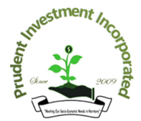 Prudent Investment Group